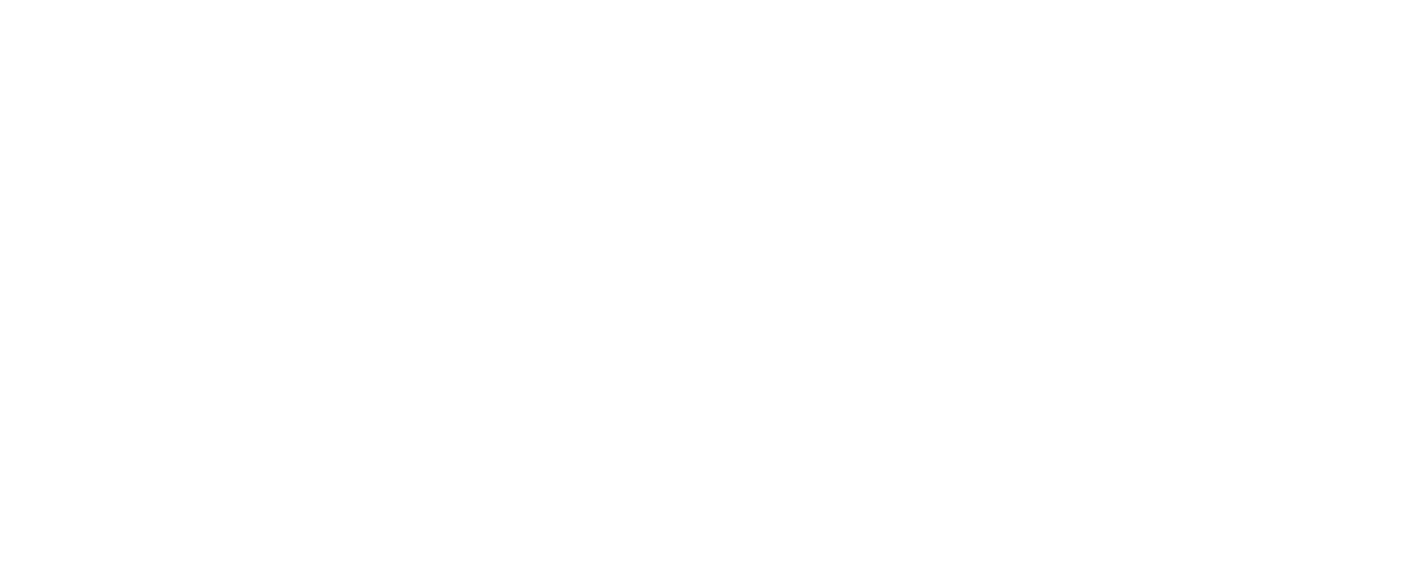 Logo David Vorderman Personal Trainer Voedingsdeskundige